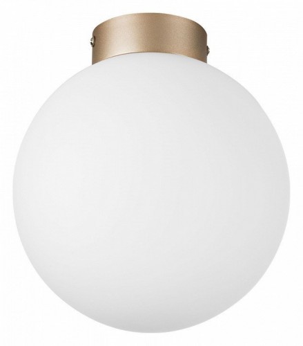 Настенно-потолочный светильник Lightstar Globo 812023