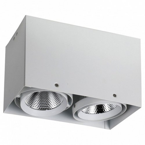 Потолочный светодиодный светильник Favourite Flashled 1986-2U Потолочный светодиодный светильник Favourite Flashled 1986-2U