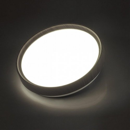 Настенно-потолочный светодиодный светильник Sonex Woodi 7627/DL