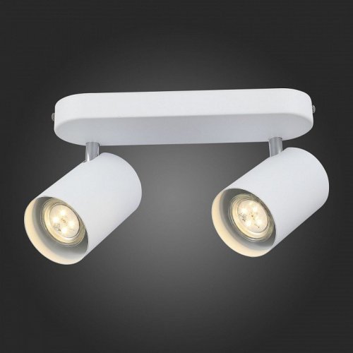 Настенно-потолочный светильник ST Luce Fanale SL597.501.02