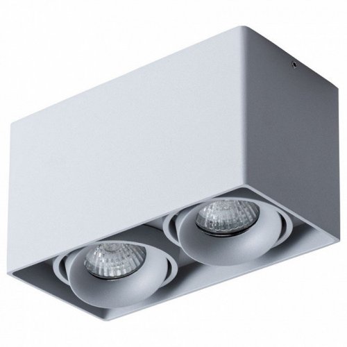 Потолочный светильник Arte Lamp Pictor A5654PL-2GY