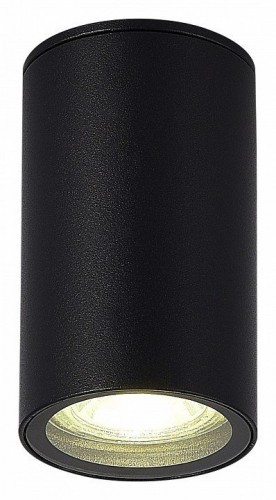 Потолочный светильник уличный ST Luce Tubo SL9010.412.01