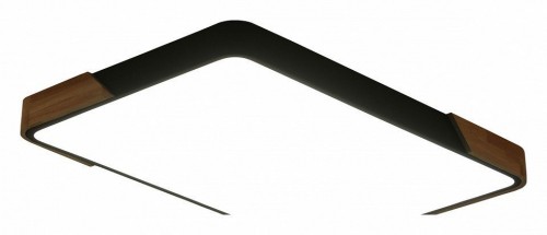 Потолочный светильник Zortes Alberro ZRS.01244.60