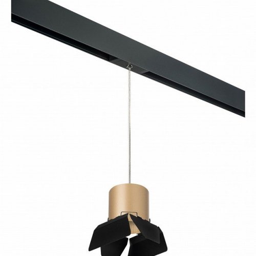 Трековый светильник Lightstar Rullo PRORP3490487