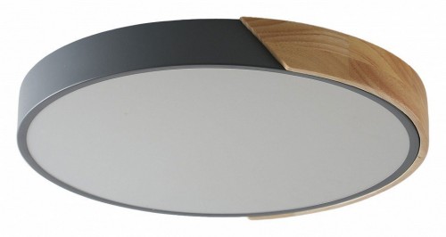 Потолочный светильник Zortes Alberro ZRS.01280.90