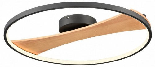 Потолочный светильник Velante 450 450-067-01