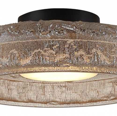 Накладной светильник ST-Luce ANTIKE SL6143.422.01