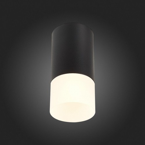 Потолочный светильник ST Luce ST100.412.01 Потолочный светильник ST Luce ST100.412.01