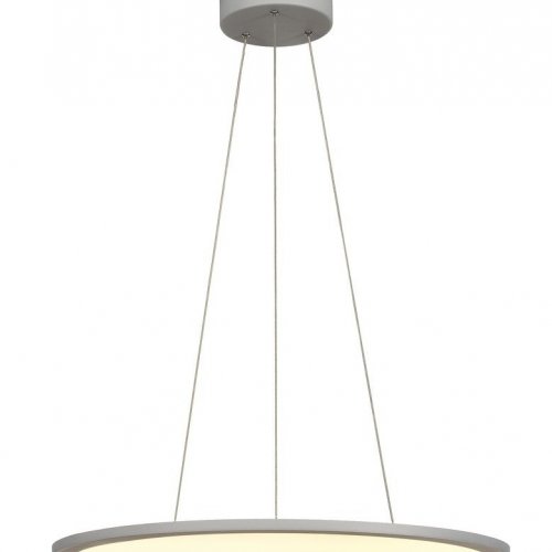 Подвесной светильник PANEL 60 ROUND DALI 1003046 Подвесной светильник PANEL 60 ROUND DALI 1003046