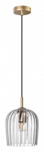 Подвесной светильник Lumion Ellie 6551/1A Подвесной светильник Lumion Ellie 6551/1A