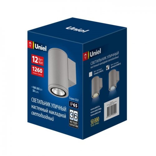 Архитектурная подсветка Uniel ULU-S21С-12W/6400K IP65 LIGHT GREY