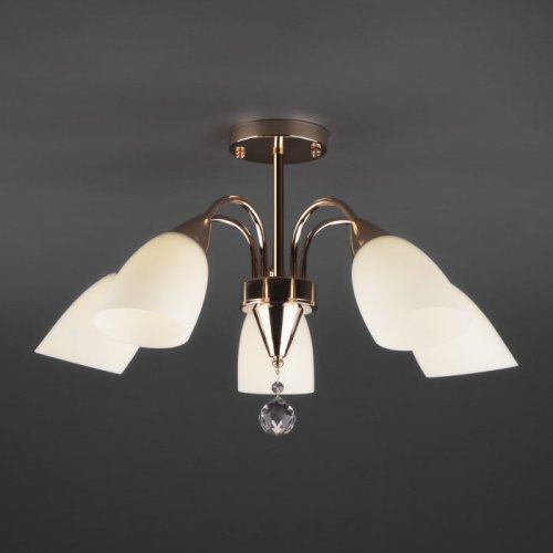 Потолочная люстра Eurosvet Ellene 30149/5