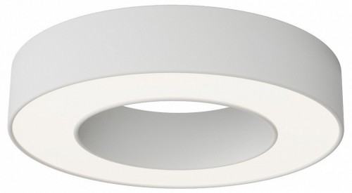 Накладной светильник Maytoni Technical  C093CL-24W4K-W