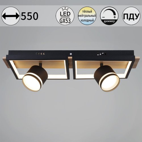 Потолочная люстра Reluce 19560-0.3-2+2 BK+WOOD