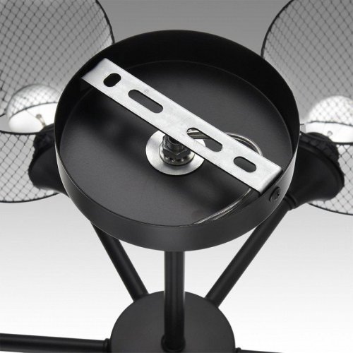 Потолочная люстра Lumion Tidina 8238/6C Потолочная люстра Lumion Tidina 8238/6C