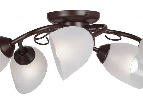 Потолочная люстра Vitaluce V3715/5PL