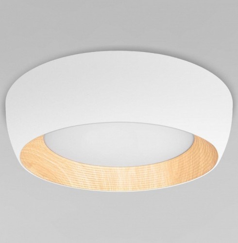 Потолочный светильник Loft IT Folk 10255/500 White