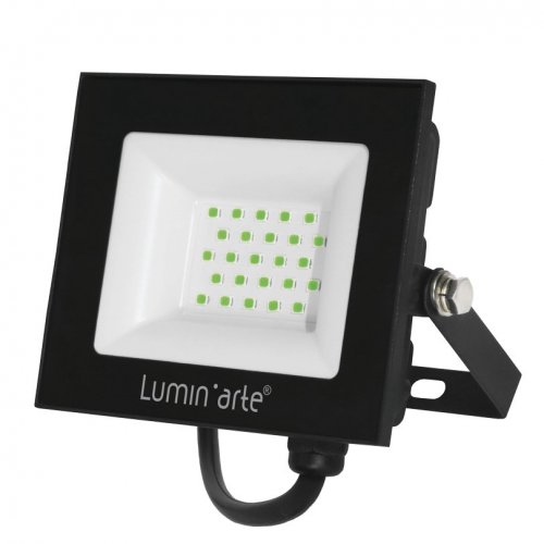 Прожектор уличный Luminarte LFL-30W/07 Прожектор уличный Luminarte LFL-30W/07