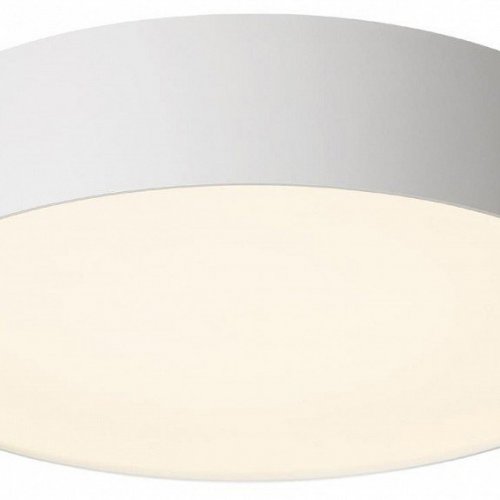 Накладной светильник Citilux BART CL755290