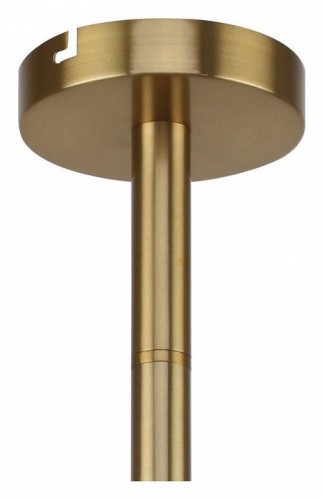 Подвесная люстра Favourite Eternity 2765-6P