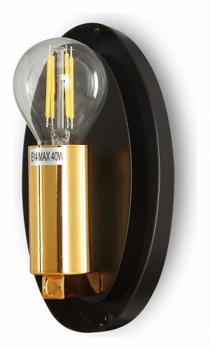 Настенный светильник Maytoni Mabell MOD306WL-01G