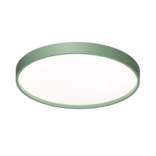 Настенно-потолочный светильник Sonex Mavic 7743/ELN