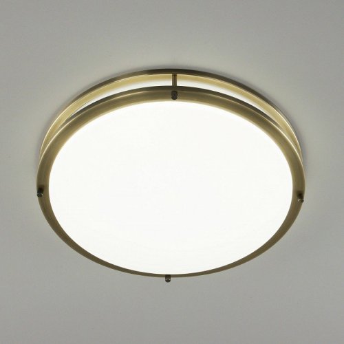 Настенно-потолочный светильник Citilux Бостон CL709503N