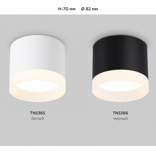 Накладной светильник Ambrella Light TN TN5365