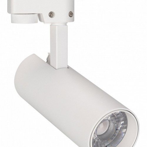 Трековый светодиодный светильник Arlight LGD-Gera-2TR-R55-10W Day4000 025903(1)