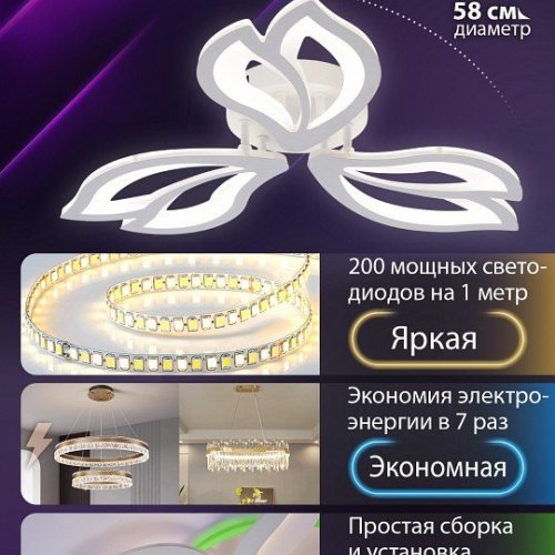 Потолочная люстра Fortuna LED LAMPS 81107/2C