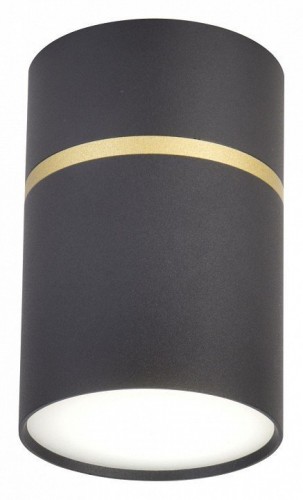 Потолочный светодиодный светильник Favourite Dunia 3068-1C