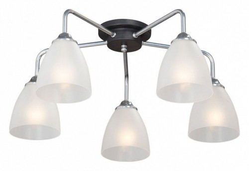 Потолочная люстра Vitaluce V4500-9/5PL