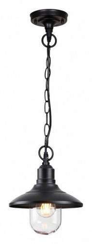 Уличный подвесной светильник Odeon Light Campa 4965/1