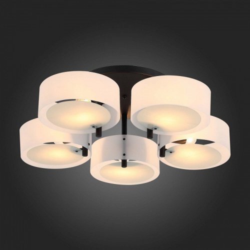 Потолочная люстра ST Luce Foresta SL483.402.05
