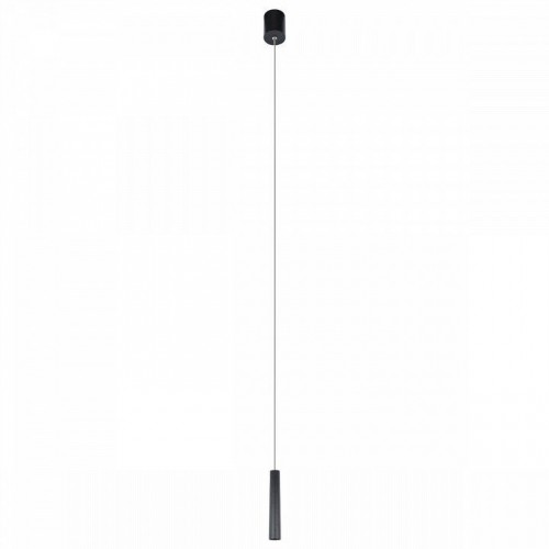 Подвесной светильник Loft IT Metropolis 10334/300 Black