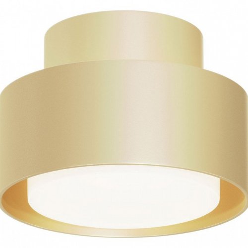 Точечный светильник Maytoni Space C092CL-GX53-MG