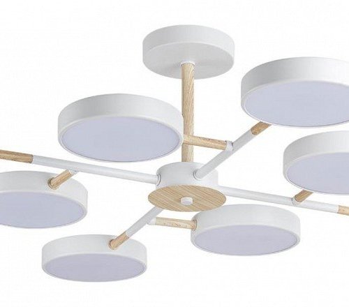 Потолочная люстра Lumion Brad 5653/99CL