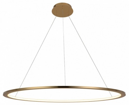 Подвесной светодиодный светильник Loft IT Ring 10014XL