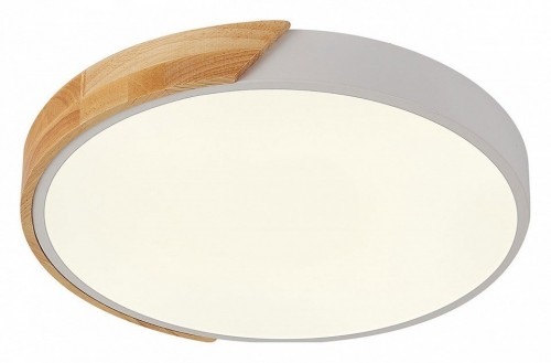 Потолочный светильник Natali Kovaltseva Scandinavian LED LAMPS 81181