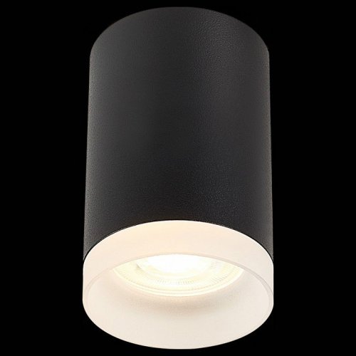 Потолочный светильник ST Luce ST100.402.01