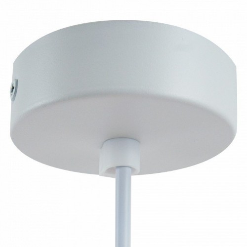 Подвесной светильник Feron Barrel 48685