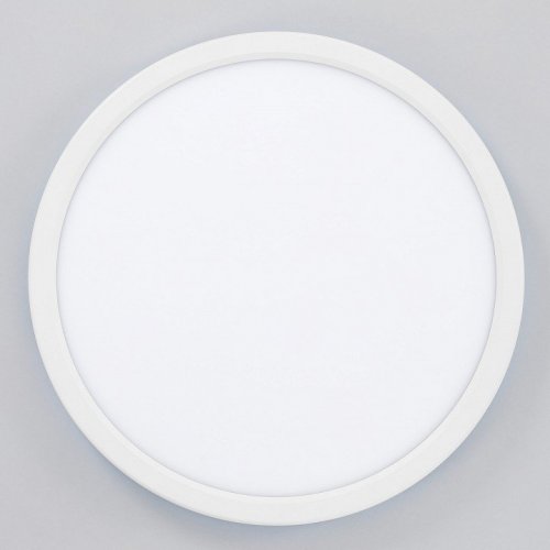 Настенно-потолочный светильник Basic Line CL738240VL