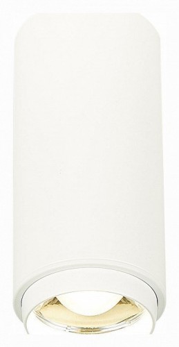 Накладной светильник ST Luce Zoom ST600.542.10