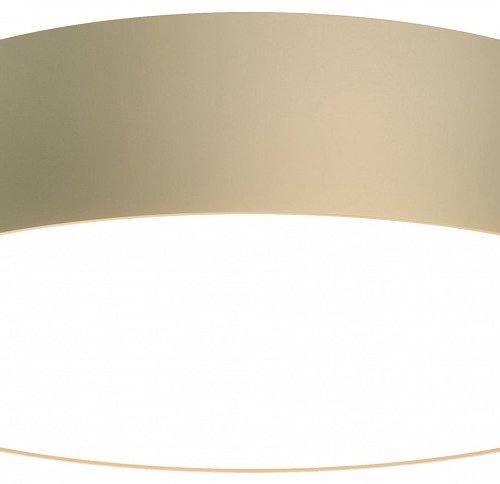 Потолочный светильник Maytoni Zon C032CL-36W3K-RD-MG