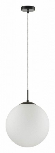 Подвесной светильник Lumion Summer 6510/1A