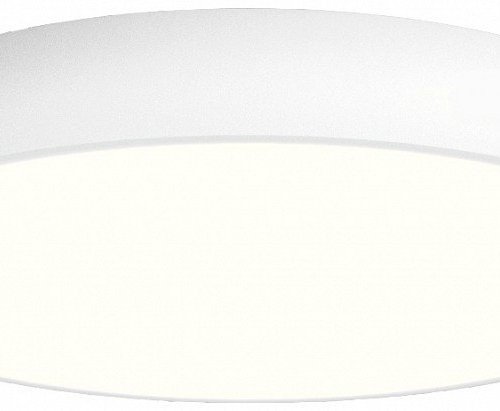 Потолочный светильник 0521207