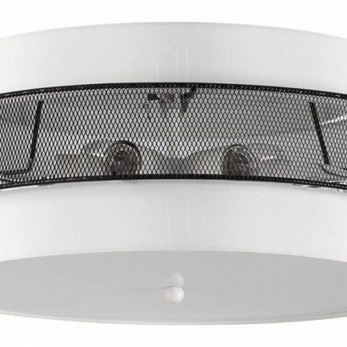 Накладной светильник Lumion Animaisa 8002/6C Накладной светильник Lumion Animaisa 8002/6C