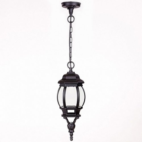 Уличный светильник подвесной Oasis Light 83405S Bl