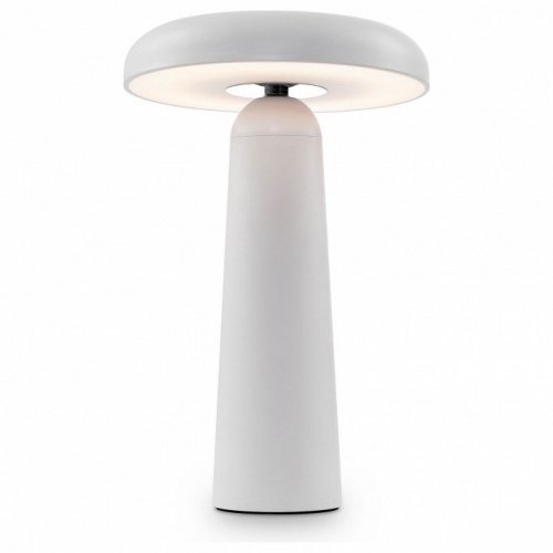 Интерьерная настольная лампа Freya Mushroom FR6109TL-L4W