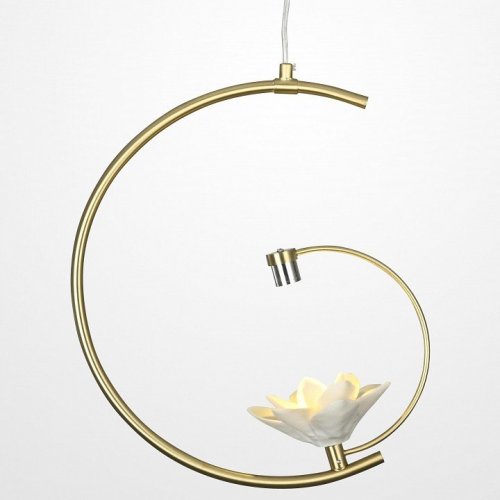 Подвесной светильник ImperiumLoft Magnolia01